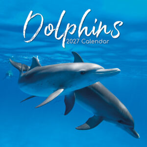 2027 Square Wall Calendar - Dolphins