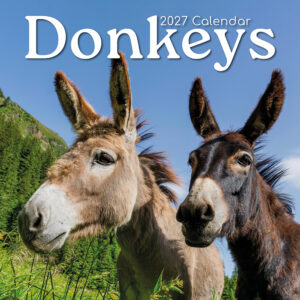 2027 Square Wall Calendar - Donkeys