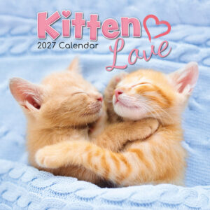 2027 Square Wall Calendar - Kitten Love