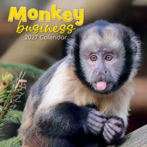 2027 Square Wall Calendar - Monkey Business