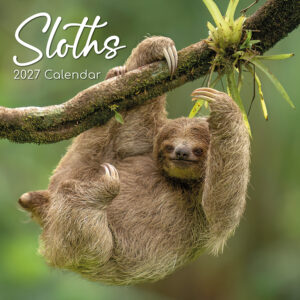 2027 Square Wall Calendar - Sloths