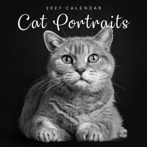 2027 Square Wall Calendar - Cat Portraits