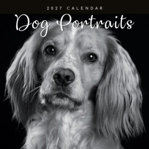 2027 Square Wall Calendar - Dog Portraits