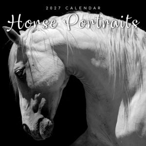 2027 Square Wall Calendar - Horse Portraits