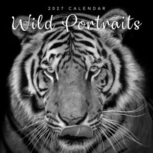 2027 Square Wall Calendar - Wild Portraits
