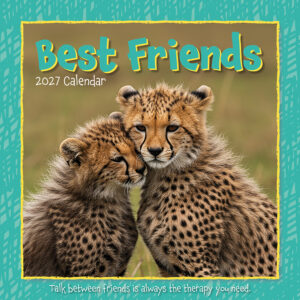 2027 Square Wall Calendar - Best Friends