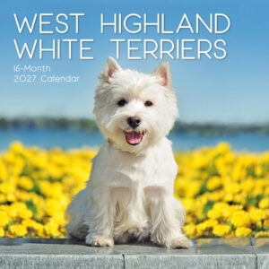 2027 Square Wall Calendar - West Highland White Terriers