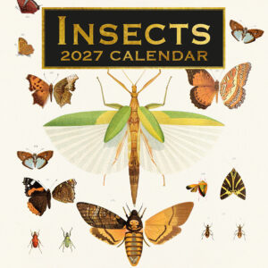2027 Square Wall Calendar - Insects