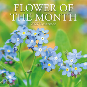 2027 Square Wall Calendar - Flower of the Month