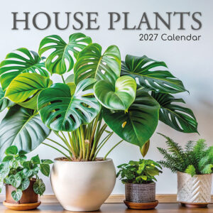 2027 Square Wall Calendar - House Plants