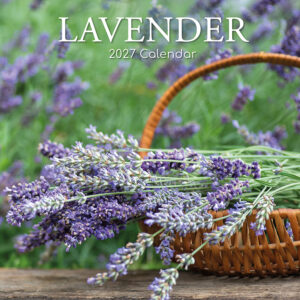 2027 Square Wall Calendar - Lavender
