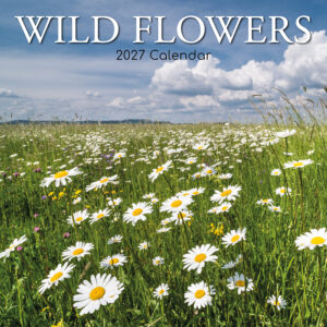 2027 Square Wall Calendar - Wild Flowers
