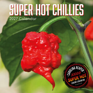 2027 Square Wall Calendar - Super Hot Chillies