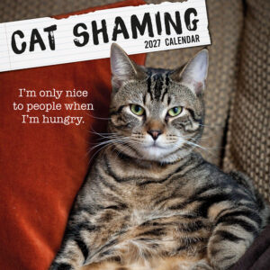 2027 Square Wall Calendar - Cat Shaming