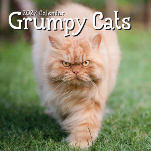 2027 Square Wall Calendar - Grumpy Cats