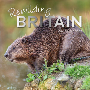 2027 Square Wall Calendar - Rewilding Britain