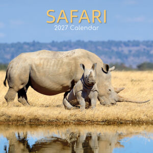 2027 Square Wall Calendar - Safari