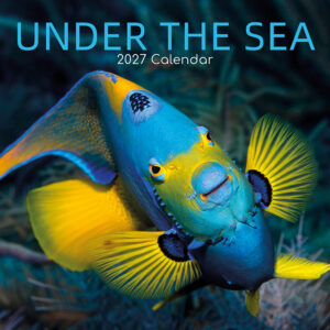 2027 Square Wall Calendar - Under the Sea