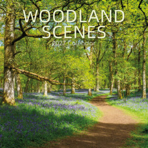 2027 Square Wall Calendar - Woodland Scenes