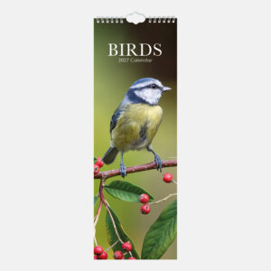 2027 Slimline Calendar - Birds