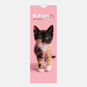 2027 Slimline Calendar - Kitten Love