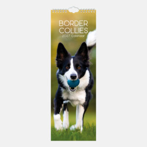2027 Slimline Calendar - Border Collie