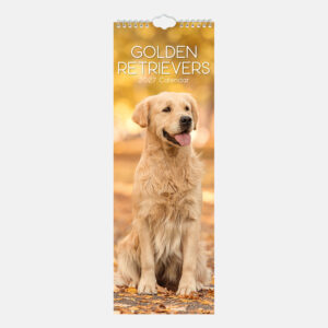 2027 Slimline Calendar - Golden Retrievers