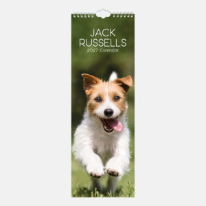 2027 Slimline Calendar - Jack Russells