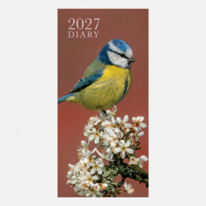 2027 Pocket Diary - Birds