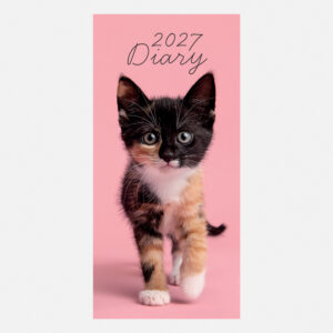 2027 Pocket Diary - Kitten Love